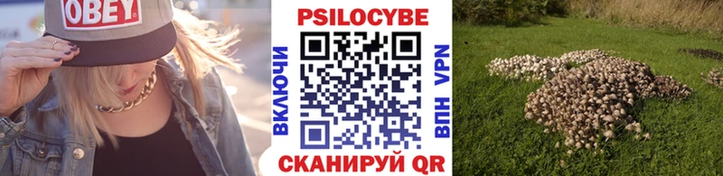 где найти наркотики  Строитель  Галлюциногенные грибы MAGIC MUSHROOMS 